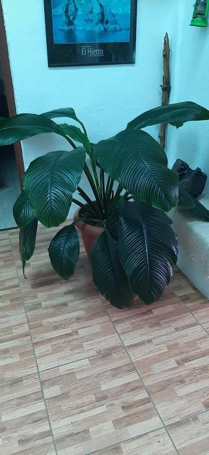 Vivienda Vacacional Sabinosa エクステリア 写真
