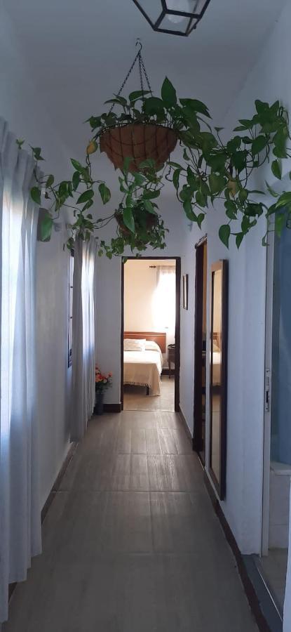 Vivienda Vacacional Sabinosa エクステリア 写真